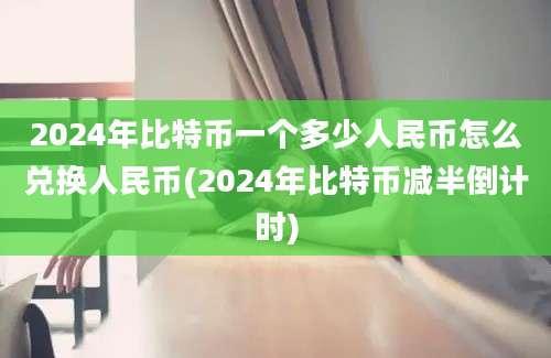 2024年比特币一个多少人民币怎么兑换人民币(2024年比特币减半倒计时)