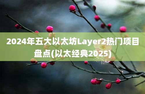 2024年五大以太坊Layer2热门项目盘点(以太经典2025)