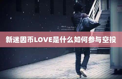 新迷因币LOVE是什么如何参与空投