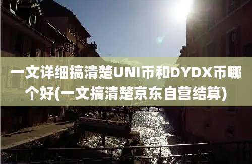 一文详细搞清楚UNI币和DYDX币哪个好(一文搞清楚京东自营结算)