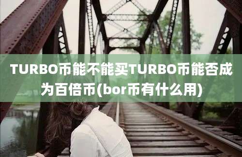 TURBO币能不能买TURBO币能否成为百倍币(bor币有什么用)