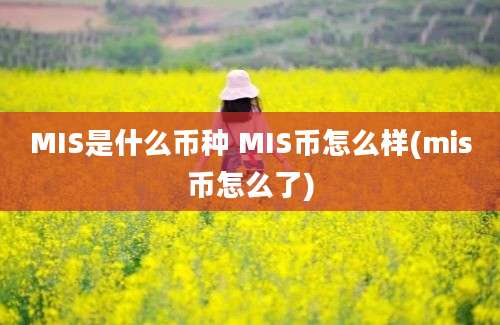 MIS是什么币种 MIS币怎么样(mis币怎么了)