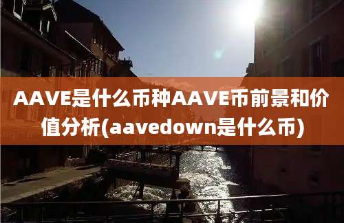 AAVE是什么币种AAVE币前景和价值分析(aavedown是什么币)