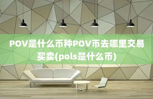 POV是什么币种POV币去哪里交易买卖(pols是什么币)