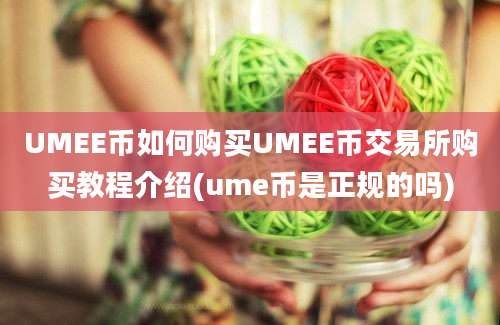 UMEE币如何购买UMEE币交易所购买教程介绍(ume币是正规的吗)