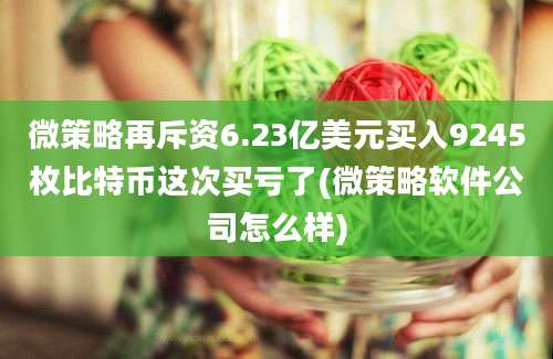 微策略再斥资6.23亿美元买入9245枚比特币这次买亏了(微策略软件公司怎么样)