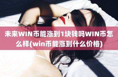 未来WIN币能涨到1块钱吗WIN币怎么样(win币能涨到什么价格)