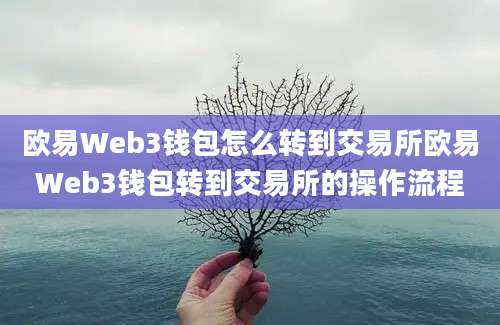 欧易Web3钱包怎么转到交易所欧易Web3钱包转到交易所的操作流程