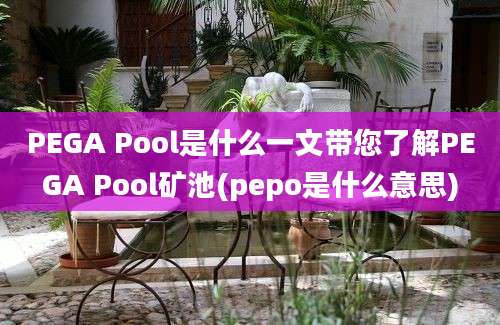 PEGA Pool是什么一文带您了解PEGA Pool矿池(pepo是什么意思)