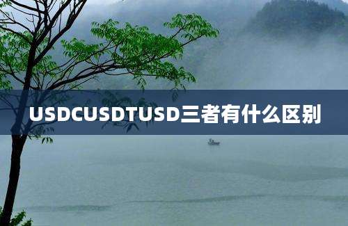 USDCUSDTUSD三者有什么区别