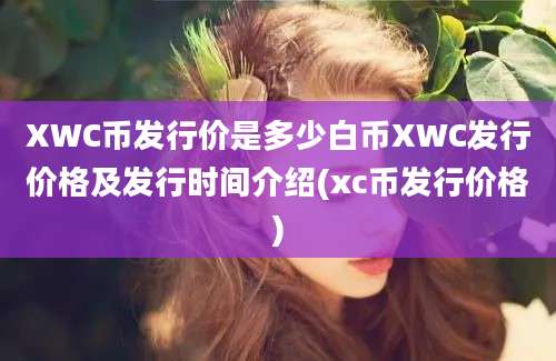 XWC币发行价是多少白币XWC发行价格及发行时间介绍(xc币发行价格)