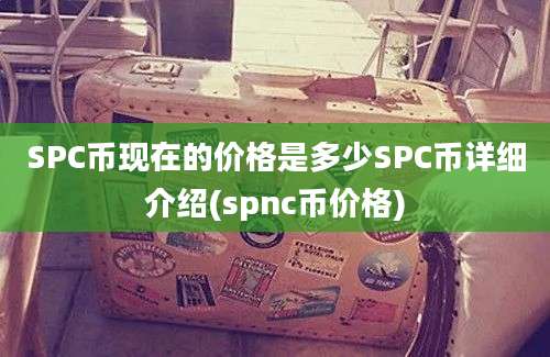 SPC币现在的价格是多少SPC币详细介绍(spnc币价格)