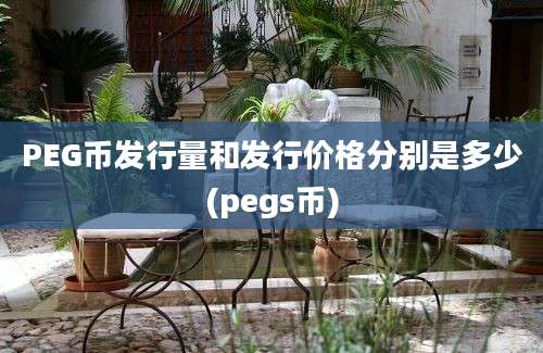 PEG币发行量和发行价格分别是多少(pegs币)