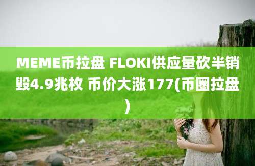 MEME币拉盘 FLOKI供应量砍半销毁4.9兆枚 币价大涨177(币圈拉盘)