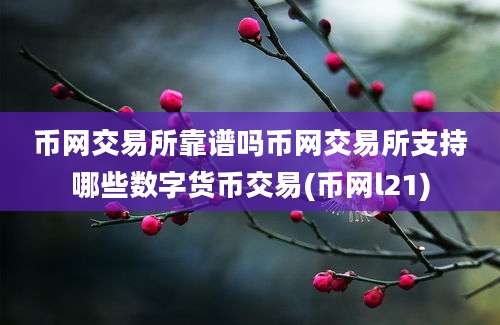 币网交易所靠谱吗币网交易所支持哪些数字货币交易(币网l21)