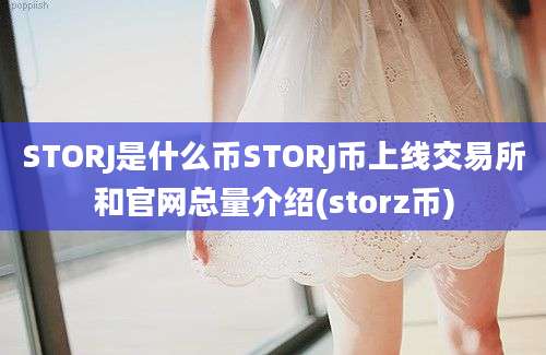 STORJ是什么币STORJ币上线交易所和官网总量介绍(storz币)