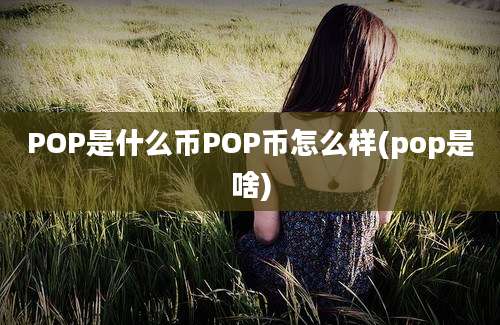 POP是什么币POP币怎么样(pop是啥)