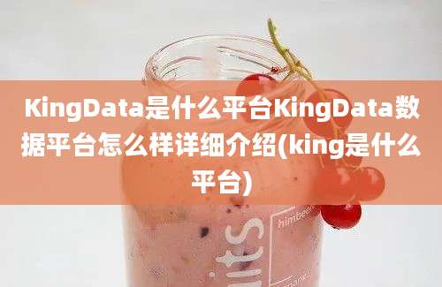 KingData是什么平台KingData数据平台怎么样详细介绍(king是什么平台)