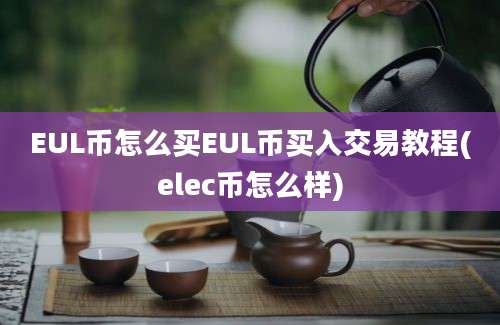 EUL币怎么买EUL币买入交易教程(elec币怎么样)