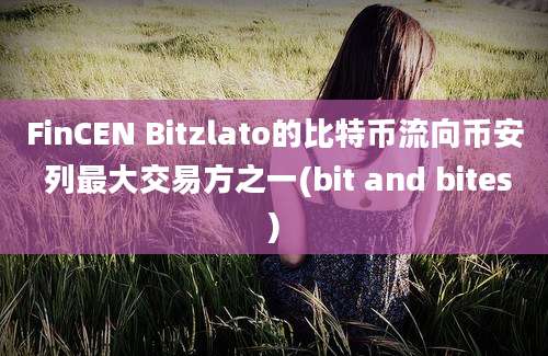 FinCEN Bitzlato的比特币流向币安 列最大交易方之一(bit and bites)