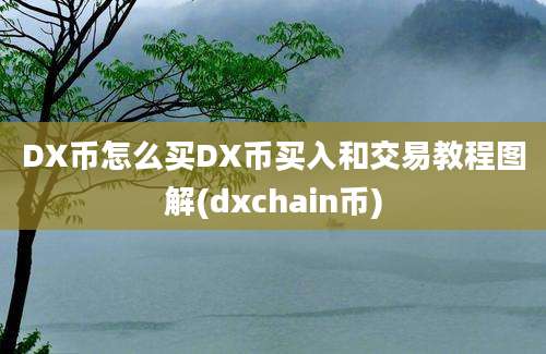 DX币怎么买DX币买入和交易教程图解(dxchain币)