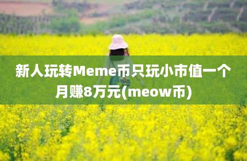 新人玩转Meme币只玩小市值一个月赚8万元(meow币)