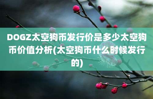 DOGZ太空狗币发行价是多少太空狗币价值分析(太空狗币什么时候发行的)