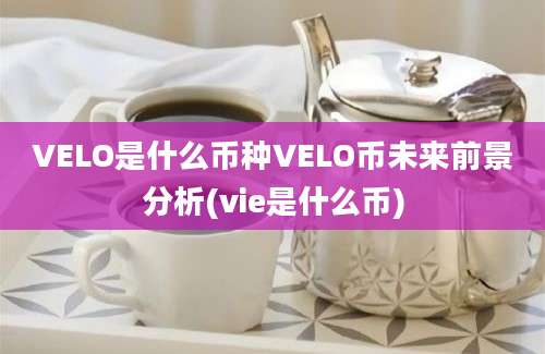 VELO是什么币种VELO币未来前景分析(vie是什么币)