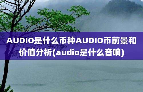 AUDIO是什么币种AUDIO币前景和价值分析(audio是什么音响)