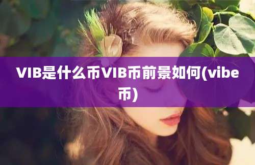 VIB是什么币VIB币前景如何(vibe币)