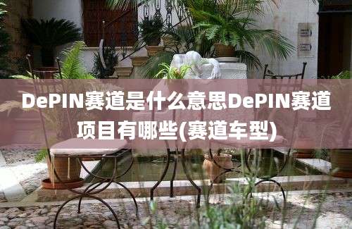 DePIN赛道是什么意思DePIN赛道项目有哪些(赛道车型)