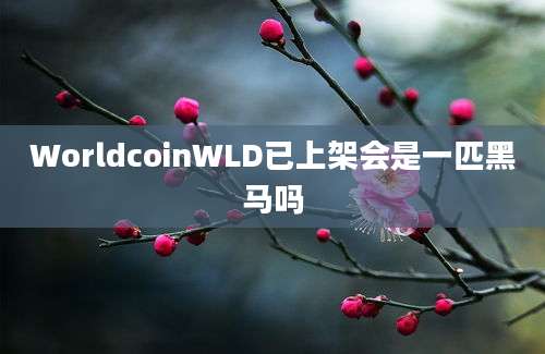 WorldcoinWLD已上架会是一匹黑马吗