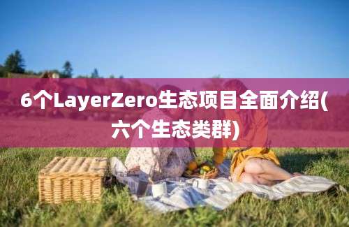 6个LayerZero生态项目全面介绍(六个生态类群)