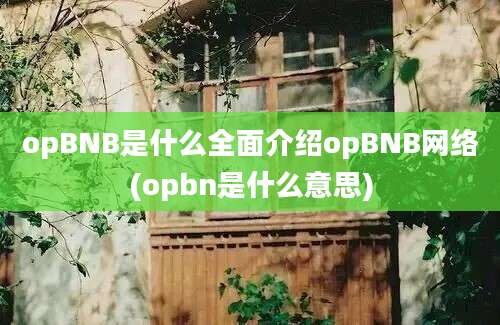 opBNB是什么全面介绍opBNB网络(opbn是什么意思)