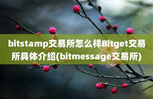 bitstamp交易所怎么样Bitget交易所具体介绍(bitmessage交易所)