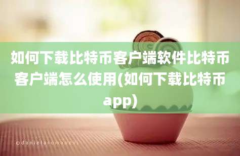 如何下载比特币客户端软件比特币客户端怎么使用(如何下载比特币app)