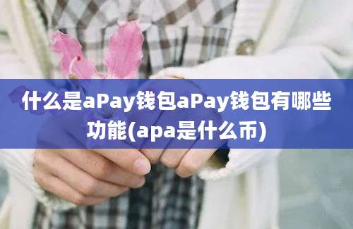 什么是aPay钱包aPay钱包有哪些功能(apa是什么币)