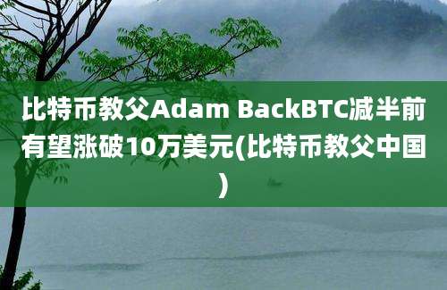 比特币教父Adam BackBTC减半前有望涨破10万美元(比特币教父中国)