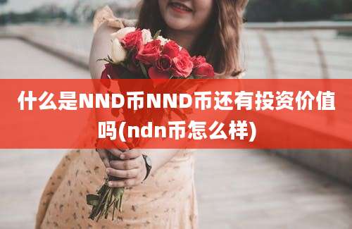 什么是NND币NND币还有投资价值吗(ndn币怎么样)