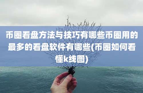 币圈看盘方法与技巧有哪些币圈用的最多的看盘软件有哪些(币圈如何看懂k线图)