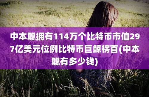 中本聪拥有114万个比特币市值297亿美元位例比特币巨鲸榜首(中本聪有多少钱)