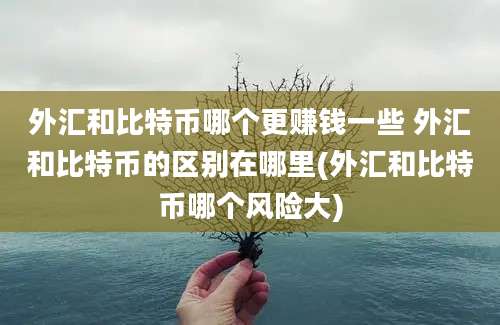 外汇和比特币哪个更赚钱一些 外汇和比特币的区别在哪里(外汇和比特币哪个风险大)