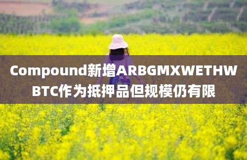 Compound新增ARBGMXWETHWBTC作为抵押品但规模仍有限