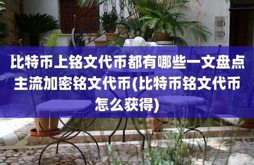 比特币上铭文代币都有哪些一文盘点主流加密铭文代币(比特币铭文代币怎么获得)