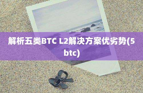 解析五类BTC L2解决方案优劣势(5btc)