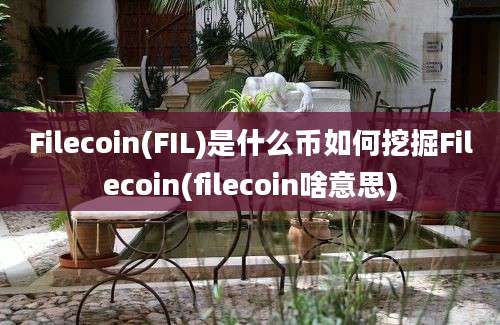 Filecoin(FIL)是什么币如何挖掘Filecoin(filecoin啥意思)