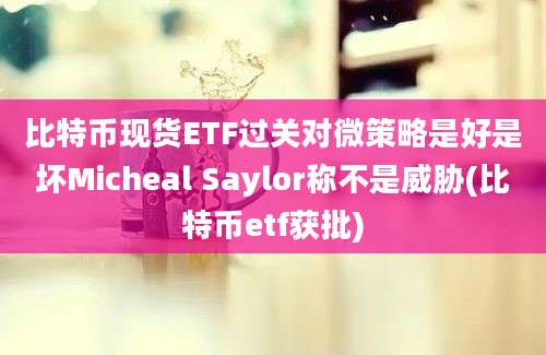 比特币现货ETF过关对微策略是好是坏Micheal Saylor称不是威胁(比特币etf获批)