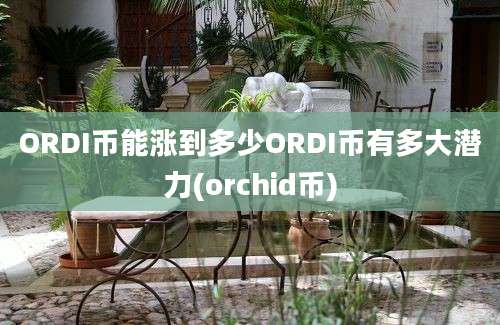 ORDI币能涨到多少ORDI币有多大潜力(orchid币)