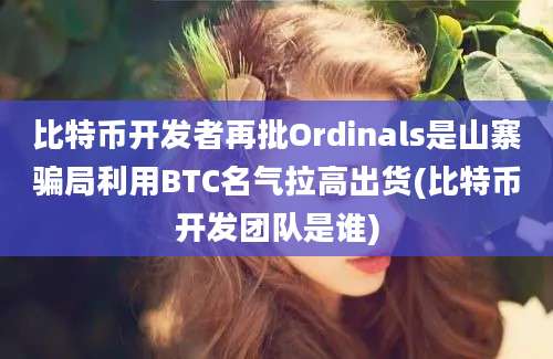 比特币开发者再批Ordinals是山寨骗局利用BTC名气拉高出货(比特币开发团队是谁)