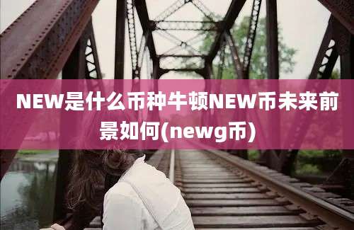 NEW是什么币种牛顿NEW币未来前景如何(newg币)